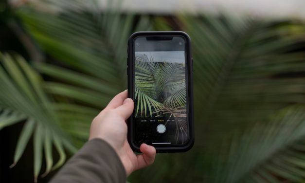 Conectar con la naturaleza: 5 apps para interactuar con nuestro entorno