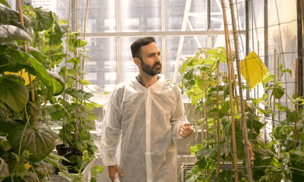 Vacunas para plantas: el futuro de la agricultura sustentable