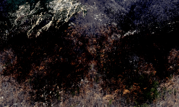 (El) fuego camina conmigo