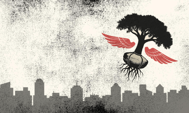 Escucha, hay algo que debes oír: sobre lo que una novela de eco-ficción anticipó sobre el despojo del quebracho 