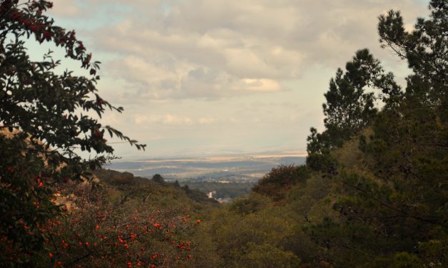 Desde la cima: el proyecto “Agua en Altura” y una apuesta a la prevención de incendios en las sierras